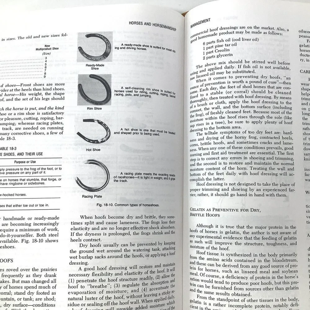 Horses And Horsemanship Book‎ By Ensminger Animal Agriculture Series 5th edition